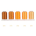 80 New Madeira Colors Set Polyester 40WT Embroidery Thread 500M
